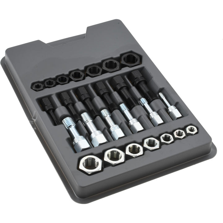 Tap & Die Sets - Lang 2581M