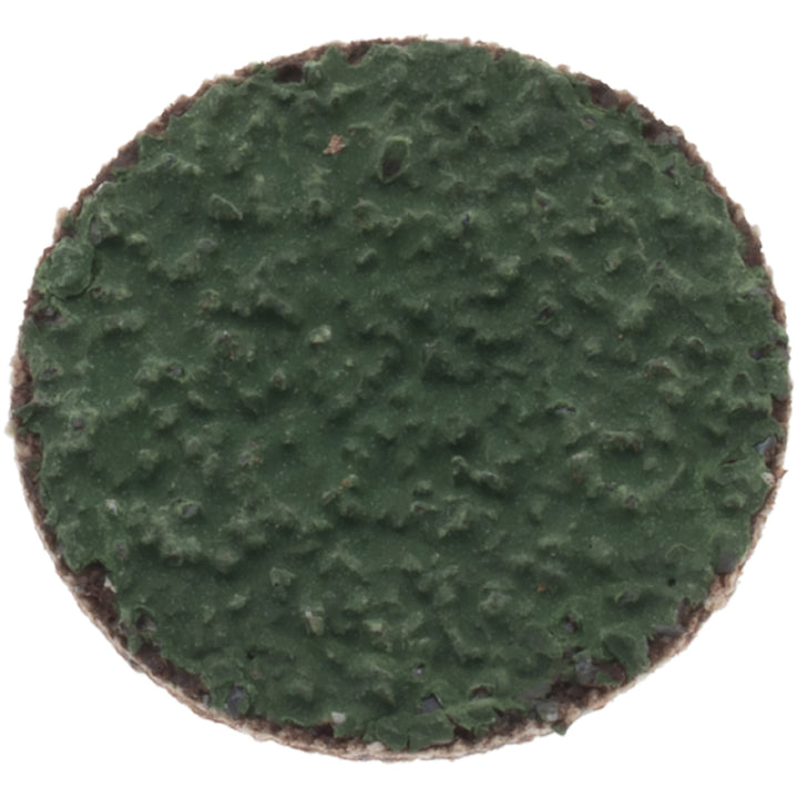 1" 36-Grit Zirconia Alumina Disc - Norton 66261144056