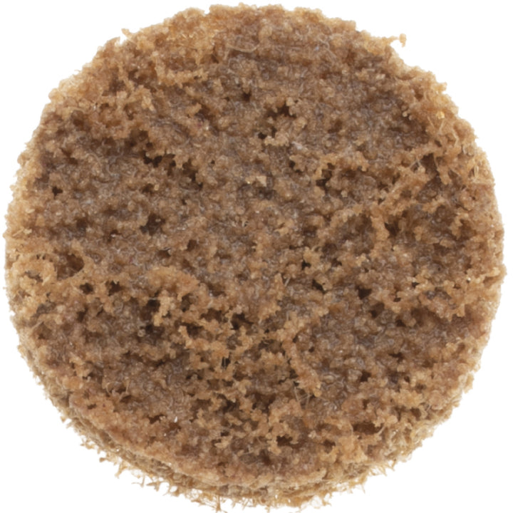 1" 50-Grit Aluminum Oxide Disc - Norton 66623335537