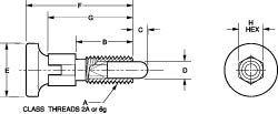 Spring Plunger - Vlier MPRT10