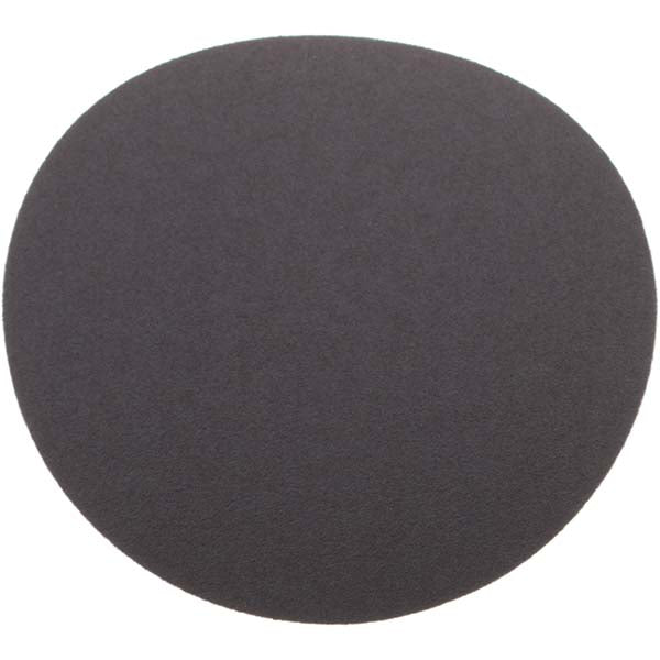 6" 100-Grit Aluminum Oxide Disc - Norton 66261136594