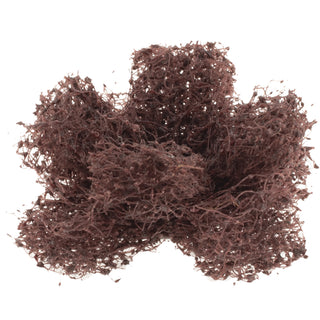 Buffing Wheel - Merit Abrasives 08834187312
