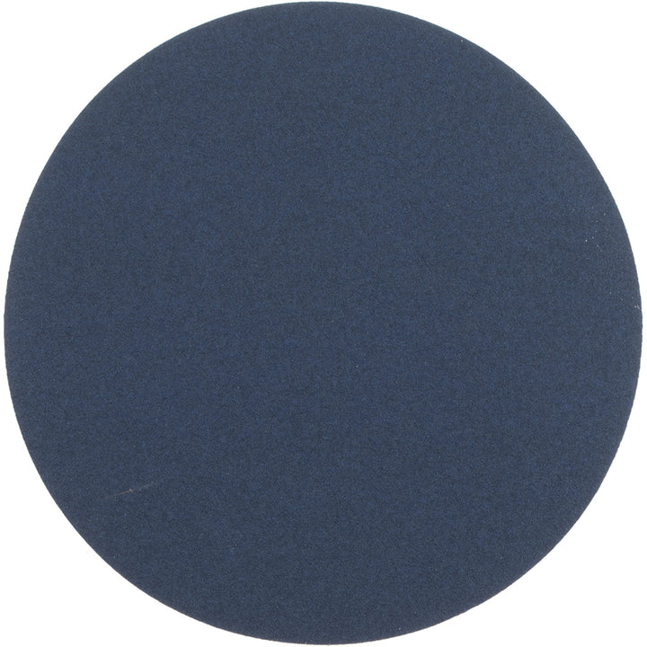 12" 80-Grit Zirconia Alumina Disc - Norton 66261138323
