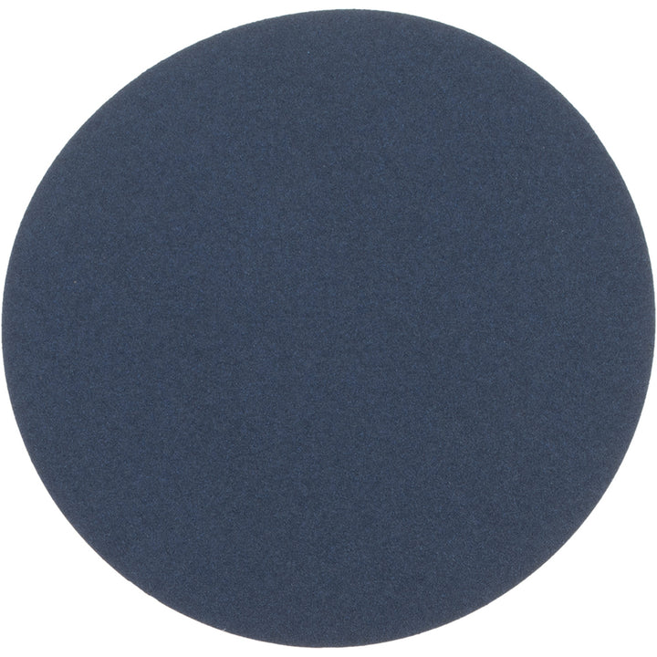 10" 80-Grit Zirconia Alumina Disc - Norton 66261138317