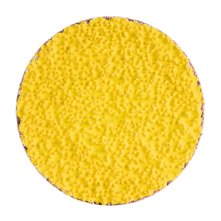 2" 36-Grit Ceramic Alumina Disc - Norton 66254427835