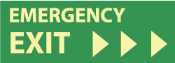 Emergency Exit Sign - AccuformNMC GL302R