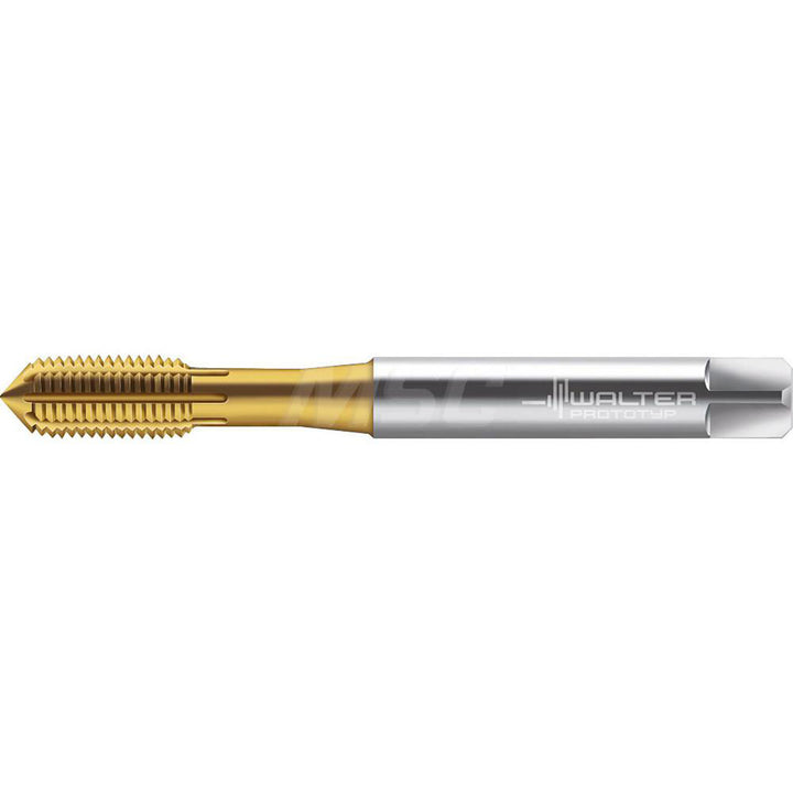 M2.5x0.45 Metric High-Speed Steel-E Tap, TiN - Walter-Prototyp 7427539