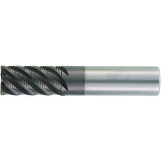 5/8" 6-Flute Solid Carbide Corner Radius End Mill, WS15PE - Widia 6441865