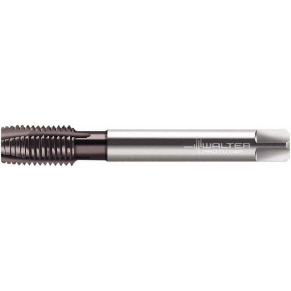 MF10x1.25 Metric Fine HSS Spiral Point Tap, THL - Walter-Prototyp 6432553