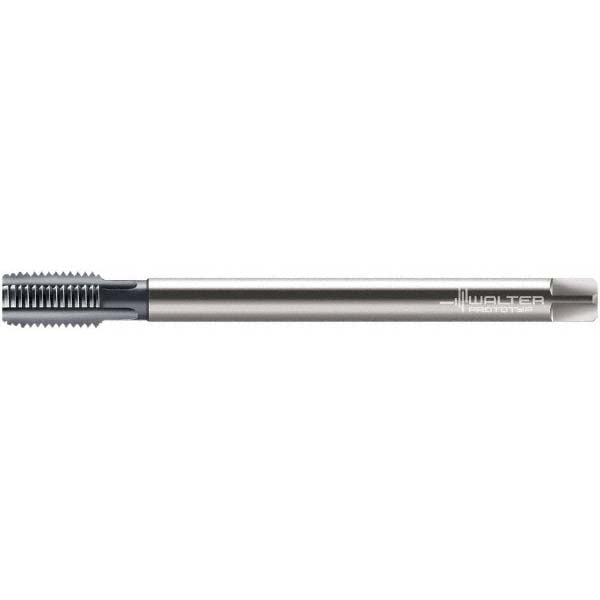 M12x1.75 Metric Powdered Metal Standard Hand Tap, TiCN - Walter-Prototyp 5603128