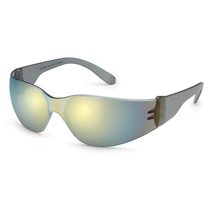 Universal Clear Safety Glasses - Gateway Safety 460M