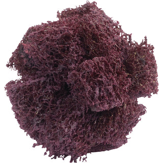 Buffing Wheel - Merit Abrasives 08834189308