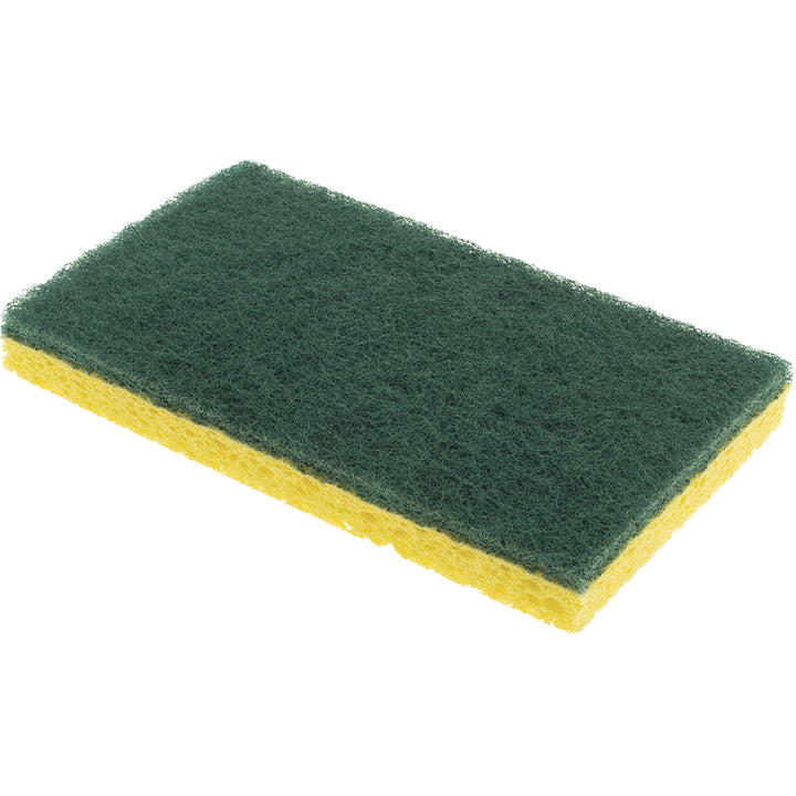 Pads & Sponge - Norton 66261059403