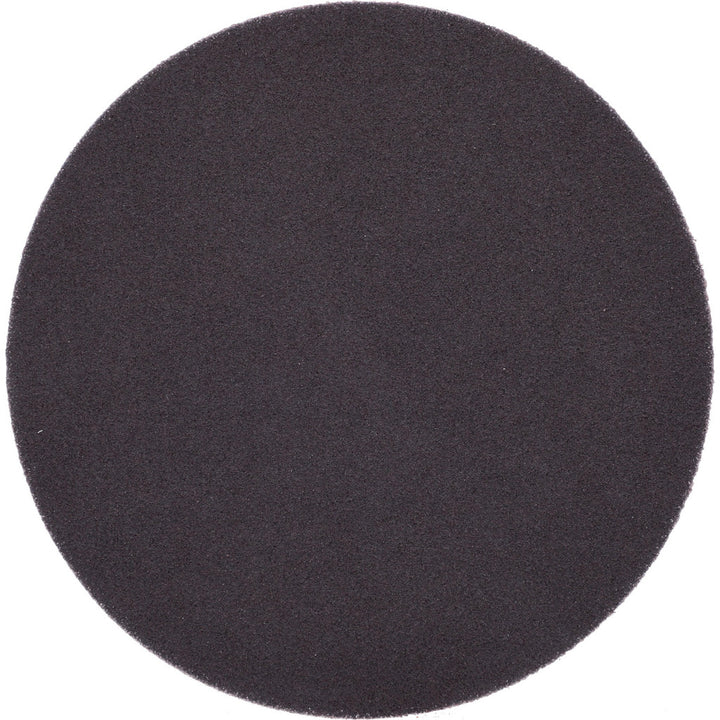 5" 100-Grit Aluminum Oxide Disc - Norton 66261136584