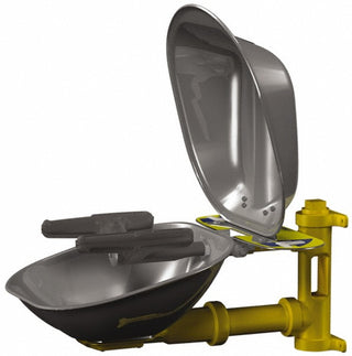 Eye Wash Station - Bradley S19224DCFW