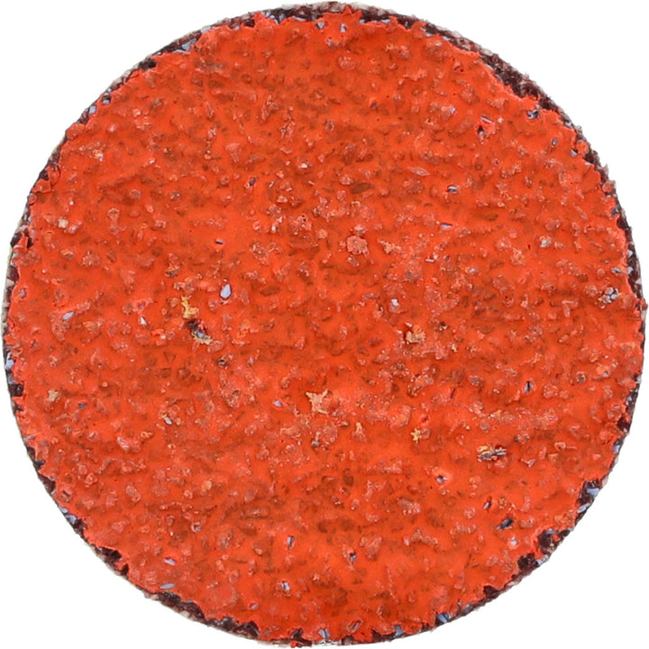 1-1/2" 36-Grit Ceramic Disc - Norton 66261162308