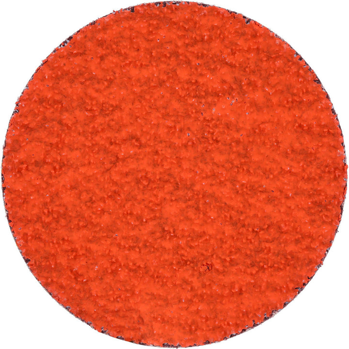 3" 36-Grit Ceramic Disc - Norton 66261162327